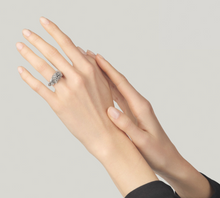 Load image into Gallery viewer, Anello Leone