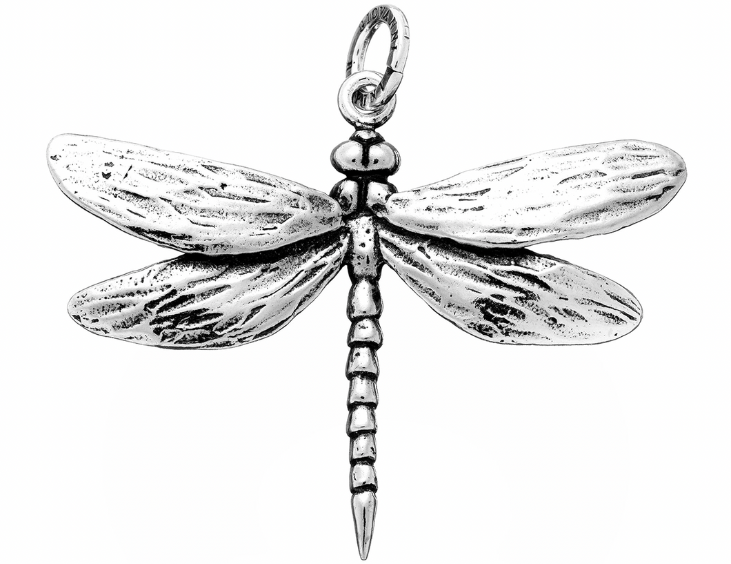 Charm Libellula